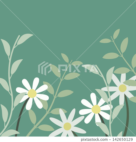 Delicate botanical square background in muted teal green for stationery, cards, and covers Delicate botanical square background in muted teal green for stationery, cards, and covers 142650129