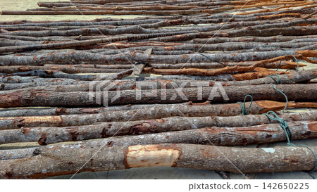 Row of Wooden Logs Laid Parallel on Sandy Ground Row of Wooden Logs Laid Parallel on Sandy Ground 142650225