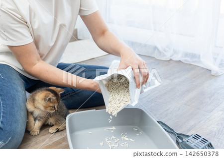 Person pours cat litter into a litter box indoors while a kitten nearby Person pours cat litter into a litter box indoors while a kitten nearby 142650378