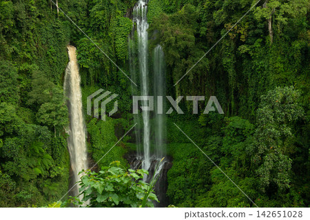 Waterfalls cascade down lush greenery in Bali, showcasing nature Waterfalls cascade down lush greenery in Bali, showcasing nature 142651028