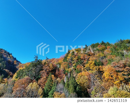 <特魯哈峽谷鳥瞰圖> 群山被秋葉染成紅色。 142651319