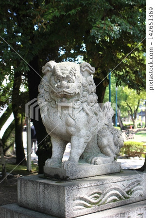 神社安置的守護犬 神社安置的守護犬 142651369