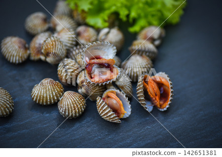 Cockles with vegetable salad lettuce on dark plate background, Fresh raw shellfish blood cockle ocean gourmet seafood in the restaurant Cockles with vegetable salad lettuce on dark plate background, Fresh raw shellfish blood cockle ocean gourmet seafood in the restaurant 142651381