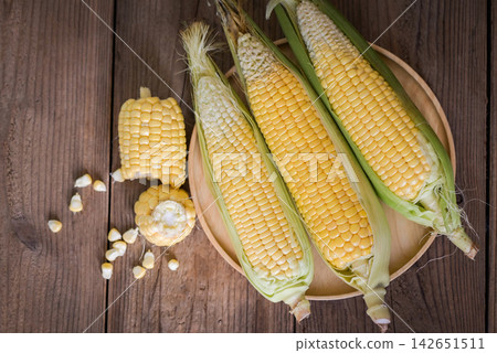 Corn on the cob, Sweet corn for cooking food, Fresh corn on wooden background, Harvest ripe corn organic 142651511