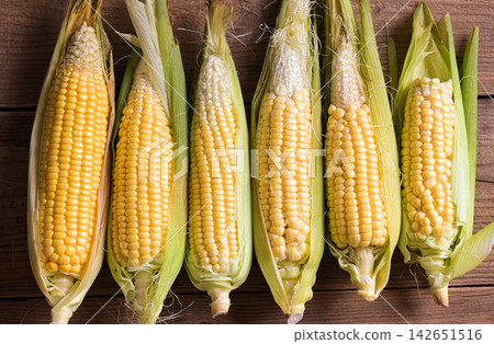 Corn on the cob, sweet corn for cooking food, fresh corn on wooden background, harvest ripe corn organic - top view Corn on the cob, sweet corn for cooking food, fresh corn on wooden background, harvest ripe corn organic - top view 142651516