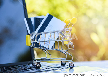 Credit card and using laptop easy payment online shopping concept Shopping cart with credit and debit card for shopping online Credit card and using laptop easy payment online shopping concept Shopping cart with credit and debit card for shopping online 142651583