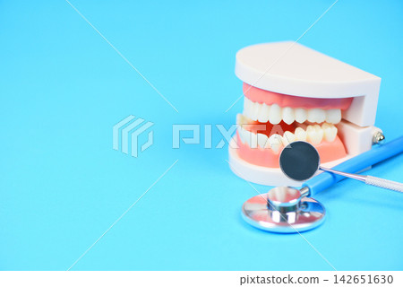 Dental care concept - dentist tools with dentures dentistry instruments and dental hygiene and equipment checkup with teeth model and mouth mirror oral health Dental care concept - dentist tools with dentures dentistry instruments and dental hygiene and equipment checkup with teeth model and mouth mirror oral health 142651630