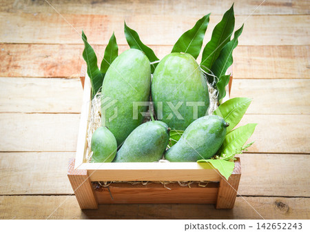 Fresh green mango and green leaves on wooden box - harvest mango raw summer fruit Fresh green mango and green leaves on wooden box - harvest mango raw summer fruit 142652243