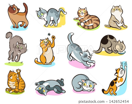 Cat behavior. Adorable pets of all colors and breeds. Animals playing and grooming themselves. Relaxing mammals. Kittens marking their territory and sharpening claws. Vector kitty set Cat behavior. Adorable pets of all colors and breeds. Animals playing and grooming themselves. Relaxing mammals. Kittens marking their territory and sharpening claws. Vector kitty set 142652454