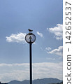 A seagull perched on a lamppost against a clear blue sky. 142652537