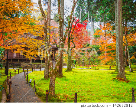 Kyoto Sanzenin Yuen Garden of autumn Kyoto Sanzenin Yuen Garden of autumn 142652812