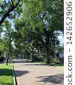 A tree-lined street in a quiet residential area of Canada, lush with summer greenery. 142652906