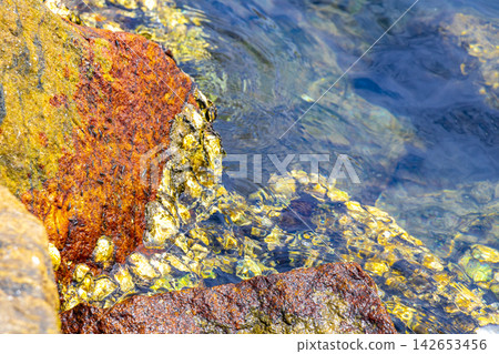 Shells mussels on rocks boulders in turquoise blue water Brazil. Shells mussels on rocks boulders in turquoise blue water Brazil. 142653456