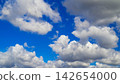 dense cumulus clouds featuring dark shaded undersides contrasting against a vivid blue sky 142654000