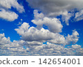 dense layered cumulus clouds filling the entire atmosphere with rich light and shadow gradients 142654001