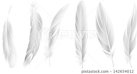 set of falling fluffy twirled feathers on transparent background. Realistic style 3d illustration set of falling fluffy twirled feathers on transparent background. Realistic style 3d illustration 142654012