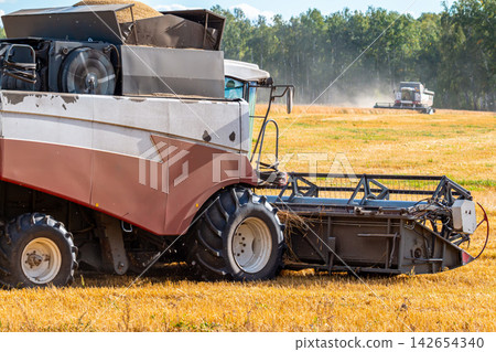 Modern combine harvesters working in the field 142654340