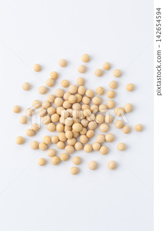 大豆白背 大豆白背 142654594