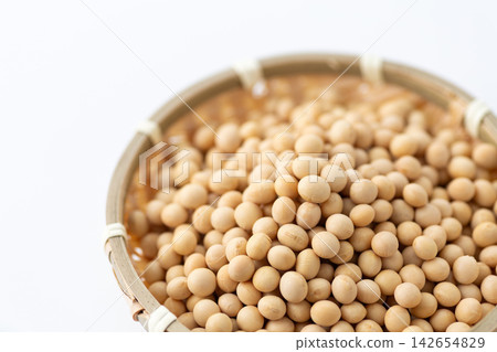 Soybean white back Soybean white back 142654829