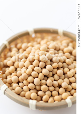 大豆白背 大豆白背 142654843
