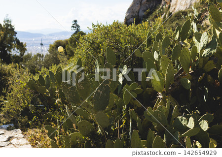 Mount Lycabettus, Athens, Greece, hiking and climbing to Lycabettos hill and Holy Church of Saint George of Lycabettus, Attica, Athens cityscape panorama view in sunny day, Lykavittos Greek landscape Mount Lycabettus, Athens, Greece, hiking and climbing to Lycabettos hill and Holy Church of Saint George of Lycabettus, Attica, Athens cityscape panorama view in sunny day, Lykavittos Greek landscape 142654929