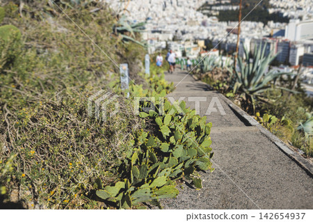 Mount Lycabettus, Athens, Greece, hiking and climbing to Lycabettos hill and Holy Church of Saint George of Lycabettus, Attica, Athens cityscape panorama view in sunny day, Lykavittos Greek landscape Mount Lycabettus, Athens, Greece, hiking and climbing to Lycabettos hill and Holy Church of Saint George of Lycabettus, Attica, Athens cityscape panorama view in sunny day, Lykavittos Greek landscape 142654937