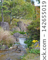Autumn park stream 142655019