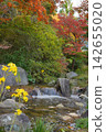 Autumn leaves and small waterfall 142655020