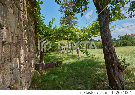 Old Galician traditional architecture surrounded by nature at Pazo de Fefinans in Galicia Old Galician traditional architecture surrounded by nature at Pazo de Fefinans in Galicia 142655064