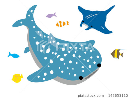 An illustration of a whale shark, manta ray, and tropical fish in the ocean. An illustration of a whale shark, manta ray, and tropical fish in the ocean. 142655110