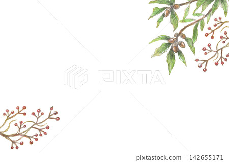 A watercolor painting of acorns and smilax, a background image of autumn plants. A watercolor painting of acorns and smilax, a background image of autumn plants. 142655171