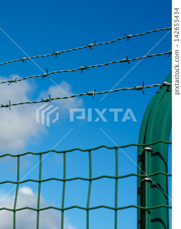 Barbed Wire Security Fence Against Blue Sky Symbolizing Restricted Access and Protected Perimeter Barbed Wire Security Fence Against Blue Sky Symbolizing Restricted Access and Protected Perimeter 142655434