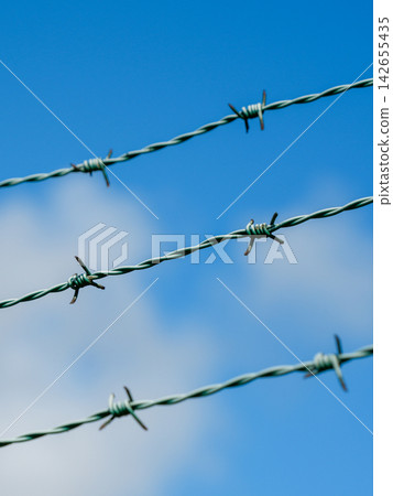 Sharp Barbed Wire Strands Against Blue Sky Symbolizing Security, Borders and Restricted Access 142655435