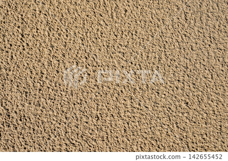 Natural Beach Sand Texture After Rain with Detailed Wet Surface Patterns and Fine Coastal Grain 142655452