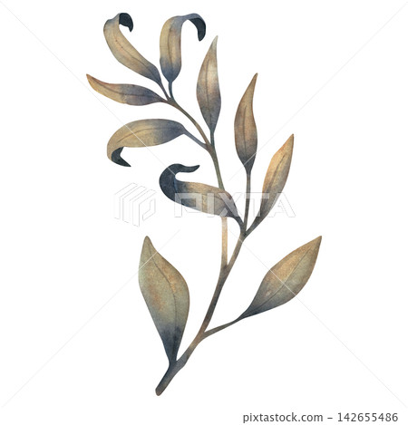 Delicate watercolor branch with muted olive and beige leaves, isolated on white as a natural decorative element for stationery, botanical prints, invitations, packaging, editorial layouts, and decor Delicate watercolor branch with muted olive and beige leaves, isolated on white as a natural decorative element for stationery, botanical prints, invitations, packaging, editorial layouts, and decor 142655486