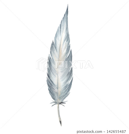 Watercolor quill feather isolated on white, inspired by traditional writing and correspondence, ideal for literary stationery, invitations, book covers, historical themes, and decorative compositions 142655487