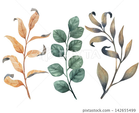 Collection of three watercolor botanical branches in muted green, ochre, and olive tones, arranged as isolated decorative elements for stationery, invitations, prints, packaging, and editorial design 142655499
