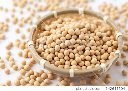 大豆白背 大豆白背 142655504