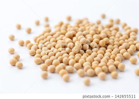大豆白背 大豆白背 142655511