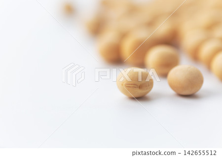 大豆白背 大豆白背 142655512