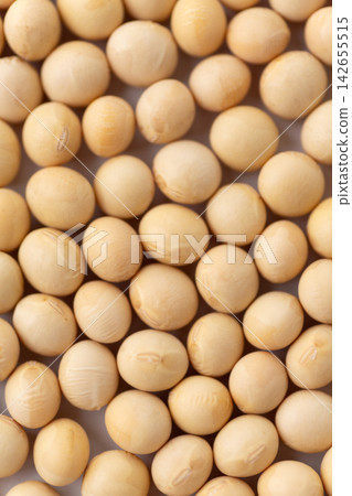 大豆白背 大豆白背 142655515