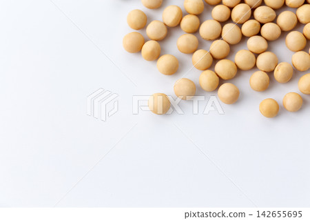 大豆白背 大豆白背 142655695