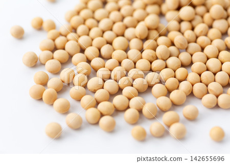 大豆白背 大豆白背 142655696