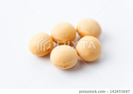 Soybean white back Soybean white back 142655697