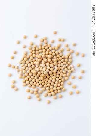 Soybean white back Soybean white back 142655698