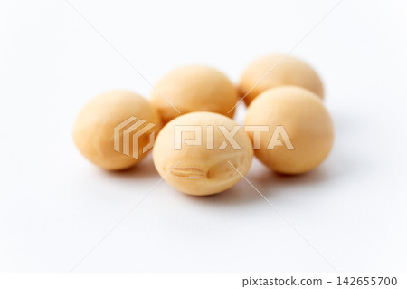 大豆白背 大豆白背 142655700