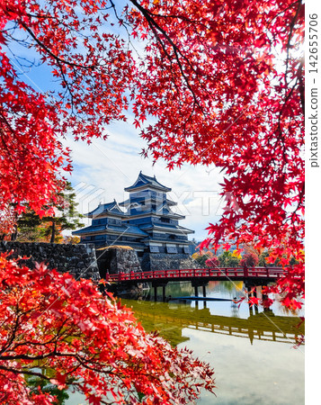 Autumn's Matsumoto Castle Autumn's Matsumoto Castle 142655706