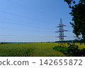 High Voltage Power Transmission Tower and Electricity Lines Crossing Large Agricultural Field in Rural Ukraine 142655872
