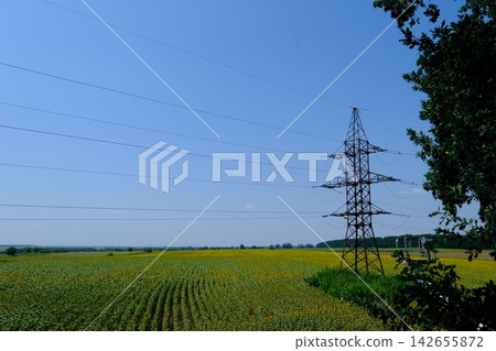 High Voltage Power Transmission Tower and Electricity Lines Crossing Large Agricultural Field in Rural Ukraine 142655872