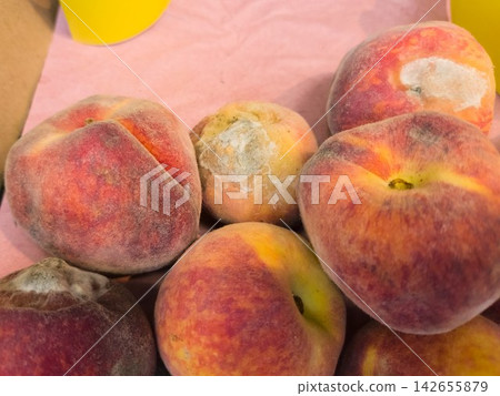 Rotten Spoiled Peaches with White Mold in Supermarket Box Rotten Spoiled Peaches with White Mold in Supermarket Box 142655879